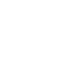 tiktok-logo